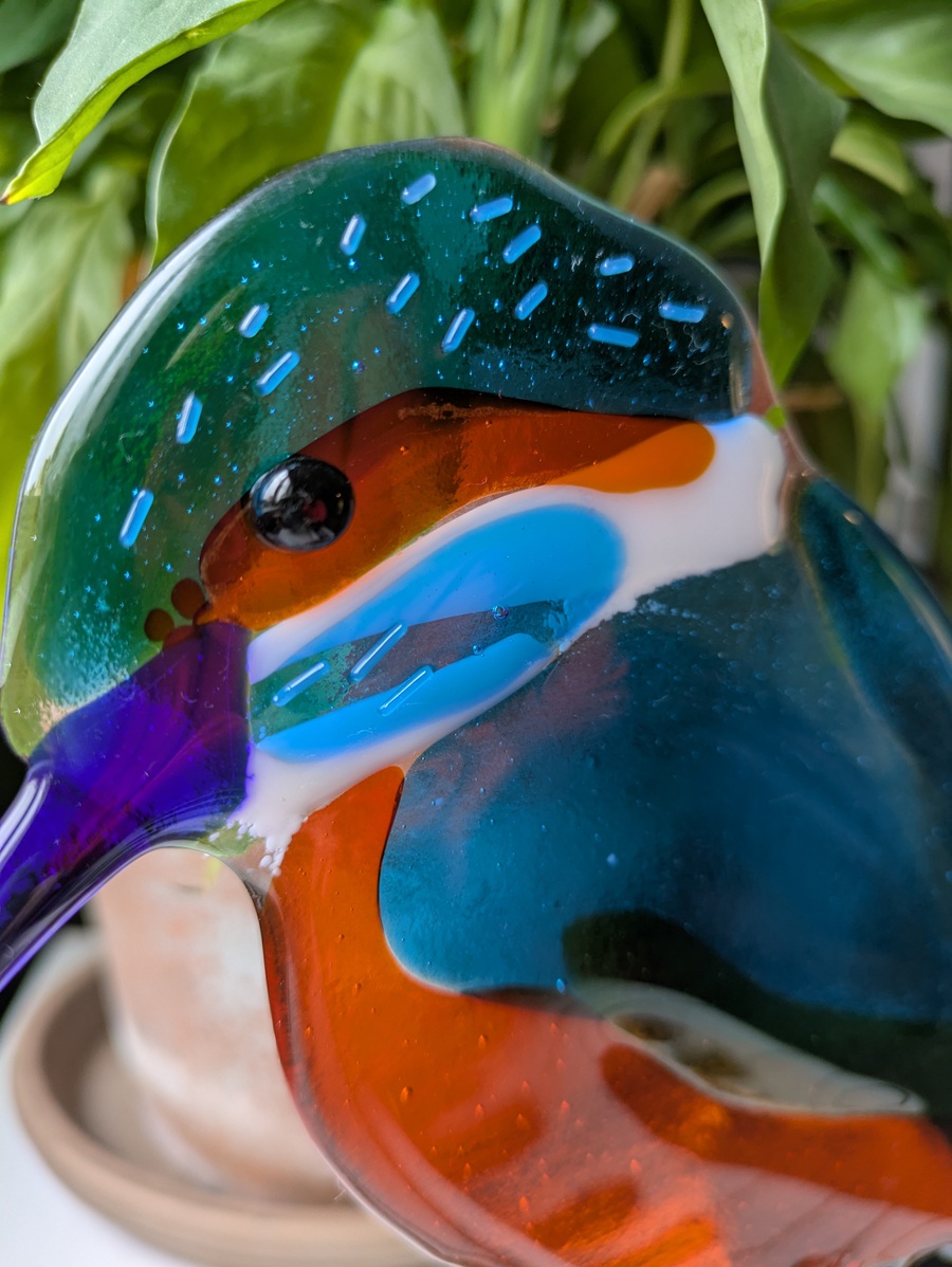 glass Kingfisher